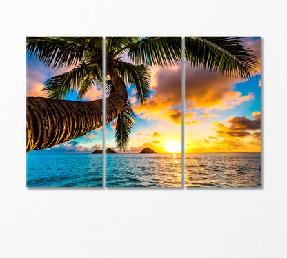 Sunrise over Hawaiian Islands Canvas Print-Canvas Print-CetArt-3 Panels-36x24 inches-CetArt