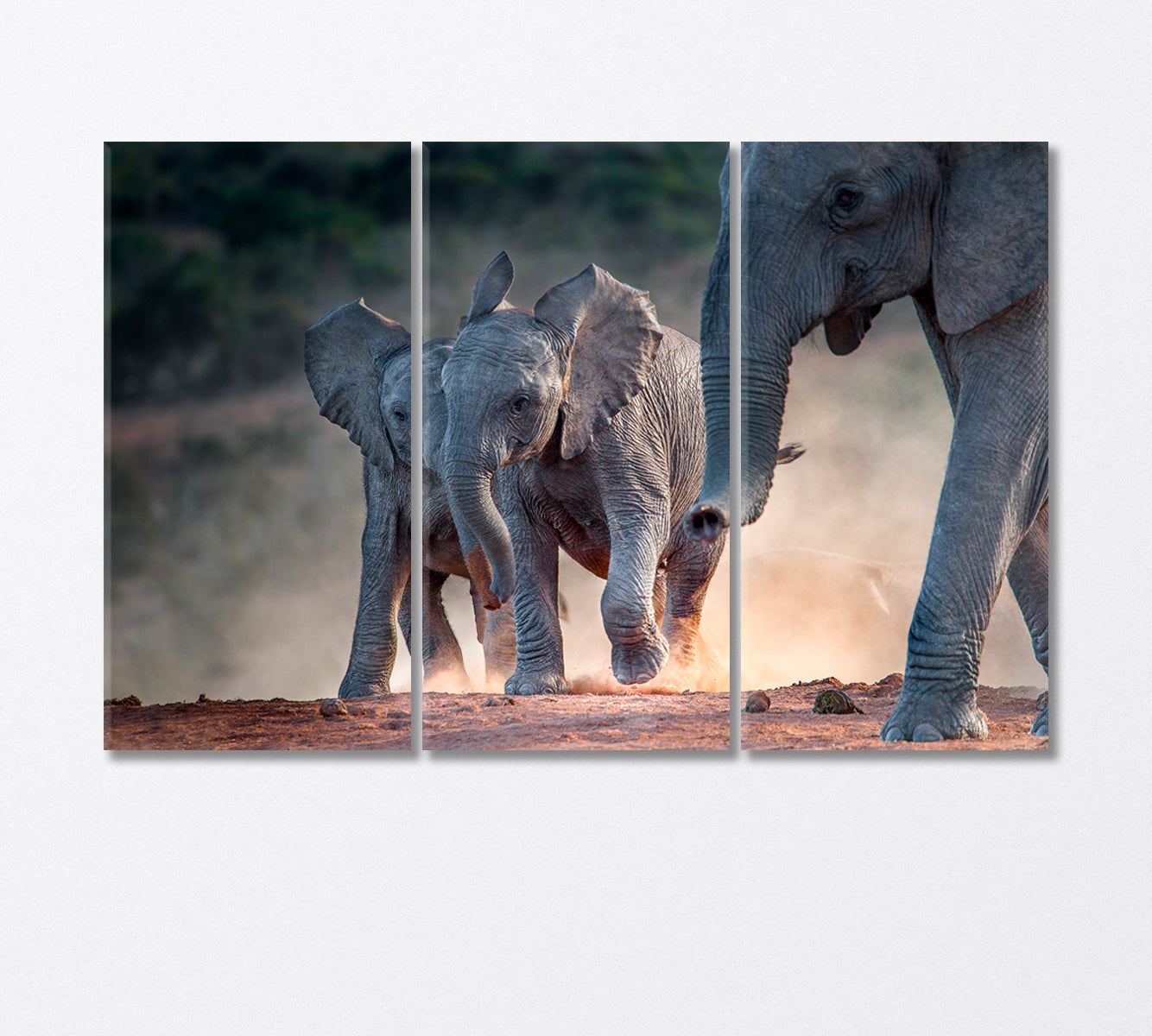 Young African Elephants Racing Toward the Water Canvas Print-Canvas Print-CetArt-3 Panels-36x24 inches-CetArt
