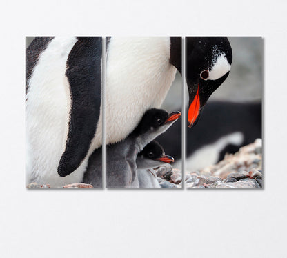 Caring Penguin with Two Chicks Canvas Print-Canvas Print-CetArt-3 Panels-36x24 inches-CetArt