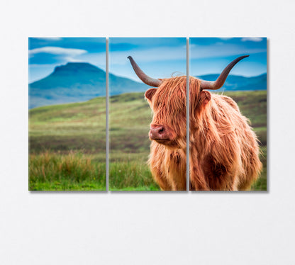 Fluffy Highland Cow Canvas Print-Canvas Print-CetArt-3 Panels-36x24 inches-CetArt