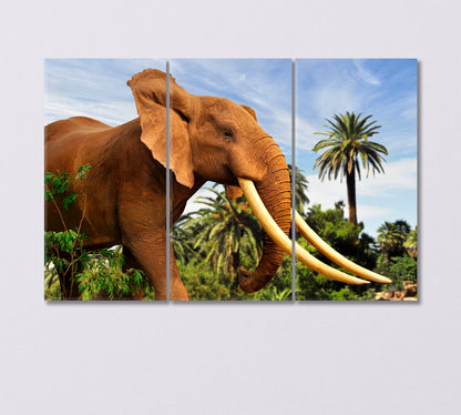 African Elephant Canvas Print-Canvas Print-CetArt-3 Panels-36x24 inches-CetArt