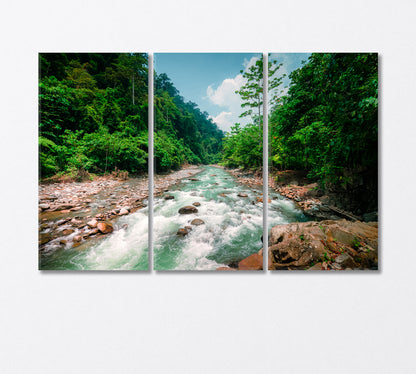 Magical Scenery of Rainforest and River with Rocks Canvas Print-Canvas Print-CetArt-3 Panels-36x24 inches-CetArt