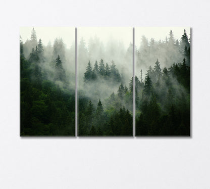 Misty Landscape with Fir Forest Canvas Print-Canvas Print-CetArt-3 Panels-36x24 inches-CetArt