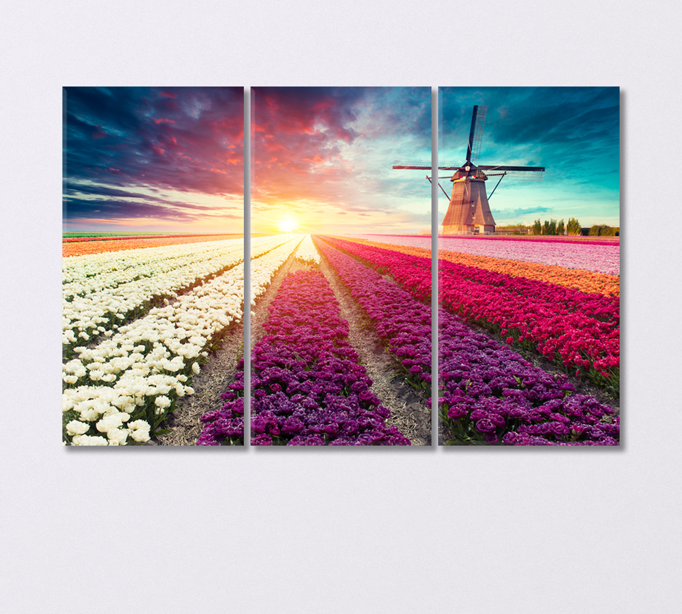Tulip Field with Windmill Netherlands Canvas Print-Canvas Print-CetArt-3 Panels-36x24 inches-CetArt