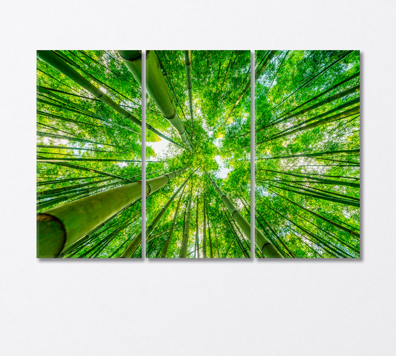 Green Bamboo Forest Bottom View Canvas Print-Canvas Print-CetArt-3 Panels-36x24 inches-CetArt