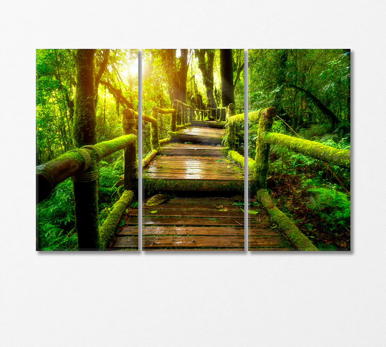 Old Wooden Bridge in Doi Inthanon National Park Thailand Canvas Print-Canvas Print-CetArt-3 Panels-36x24 inches-CetArt