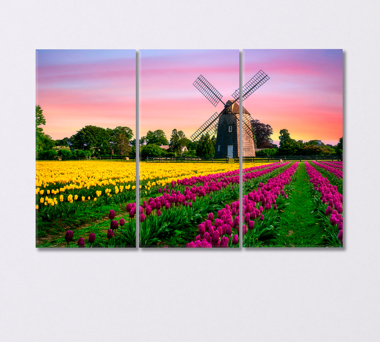 Windmill in Beautiful Color Tulips Field Canvas Print-Canvas Print-CetArt-3 Panels-36x24 inches-CetArt