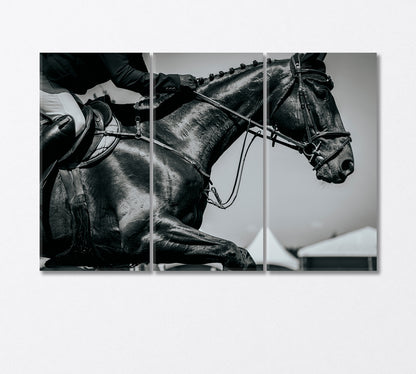 Equestrian Sports Canvas Print-Canvas Print-CetArt-3 Panels-36x24 inches-CetArt
