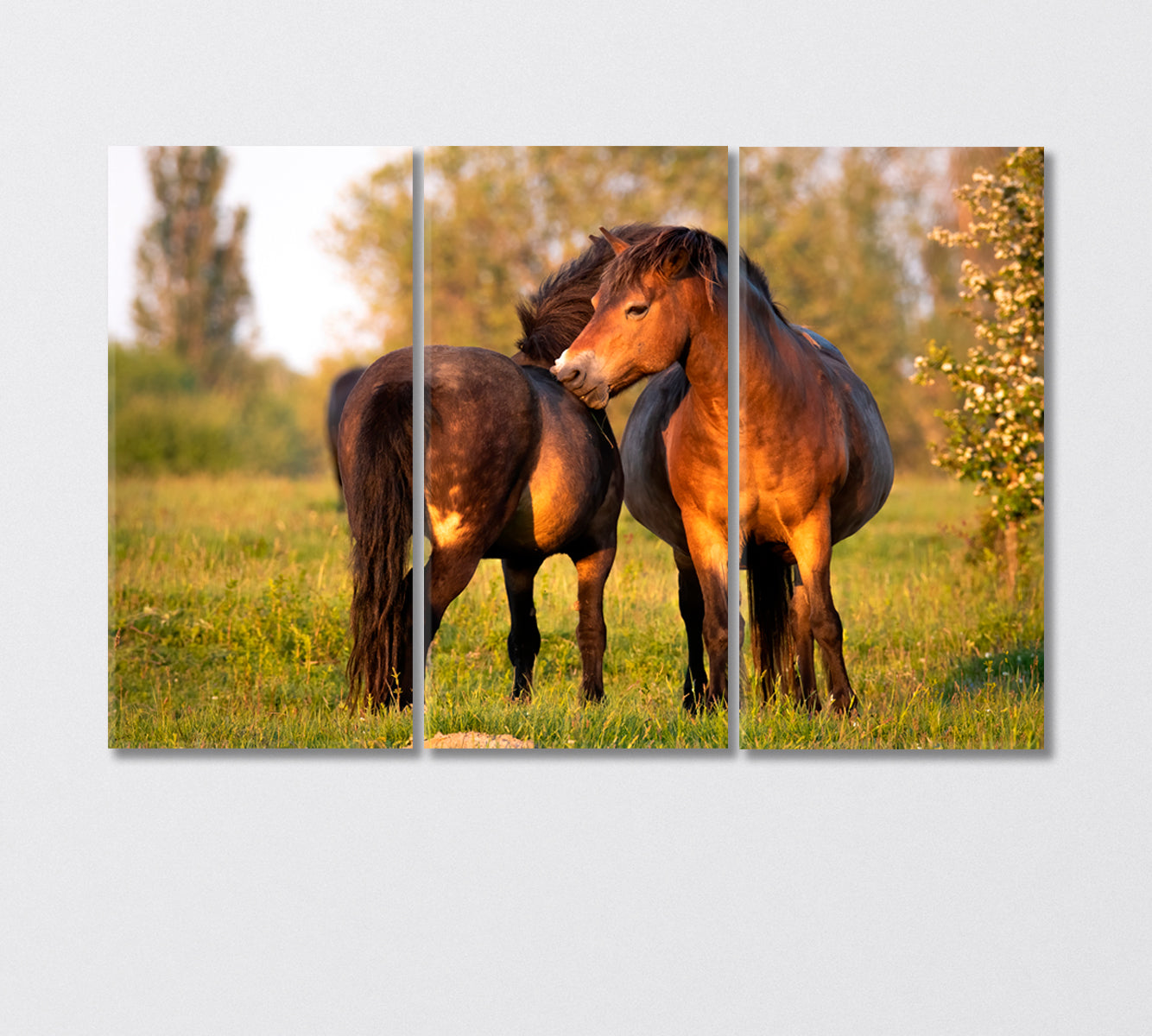 Pair of Exmoor Ponies Canvas Print-Canvas Print-CetArt-3 Panels-36x24 inches-CetArt