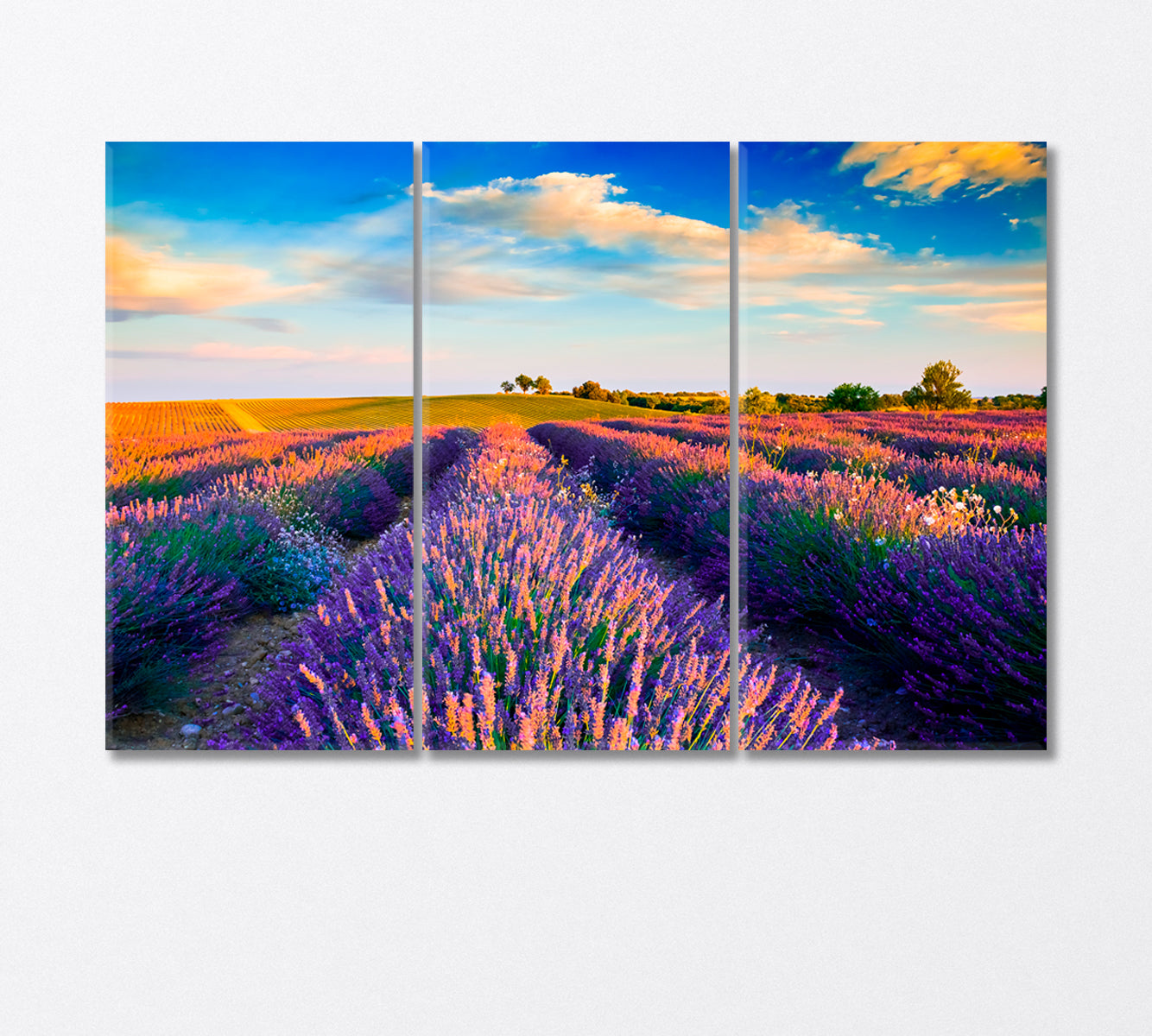 Lavender Field and Provence Hills Canvas Print-Canvas Print-CetArt-3 Panels-36x24 inches-CetArt