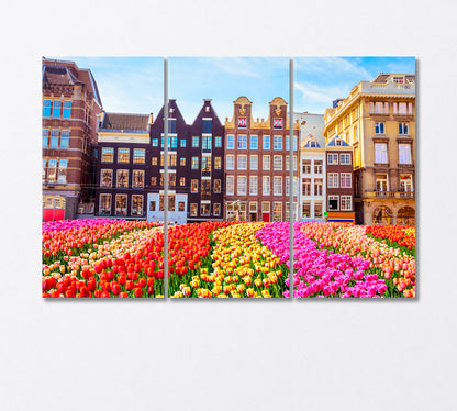 Traditional Buildings and Tulips in Amsterdam Canvas Print-Canvas Print-CetArt-3 Panels-36x24 inches-CetArt