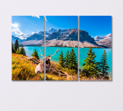 Deer with Forked Antlers near Glacial Lake Bow Canada Canvas Print-Canvas Print-CetArt-3 Panels-36x24 inches-CetArt