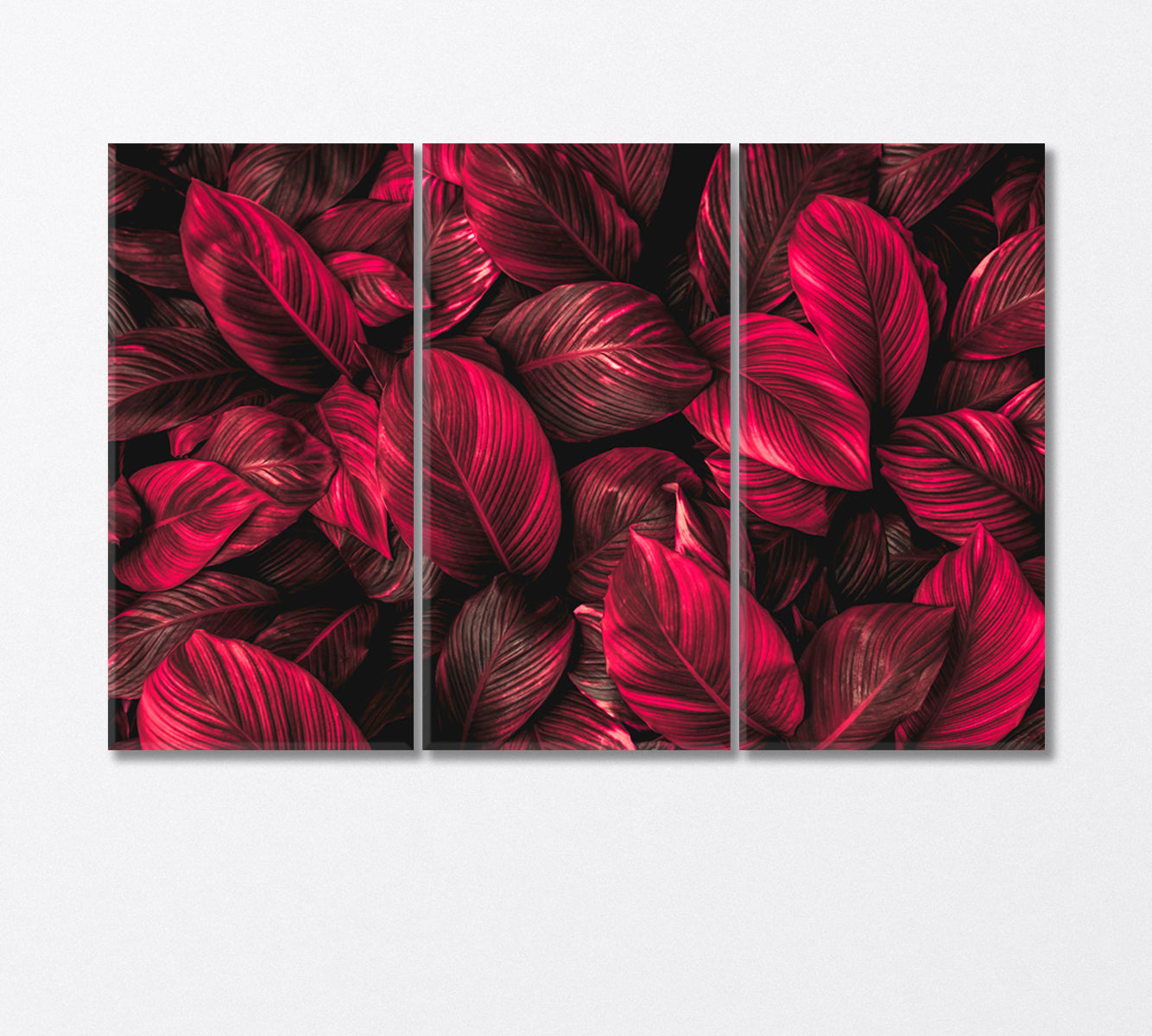 Red Leaves of Spathiphyllum Canvas Print-Canvas Print-CetArt-3 Panels-36x24 inches-CetArt