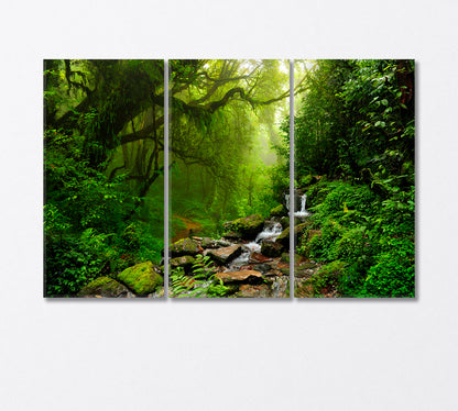 Subtropical Forest in Nepal Canvas Print-Canvas Print-CetArt-3 Panels-36x24 inches-CetArt