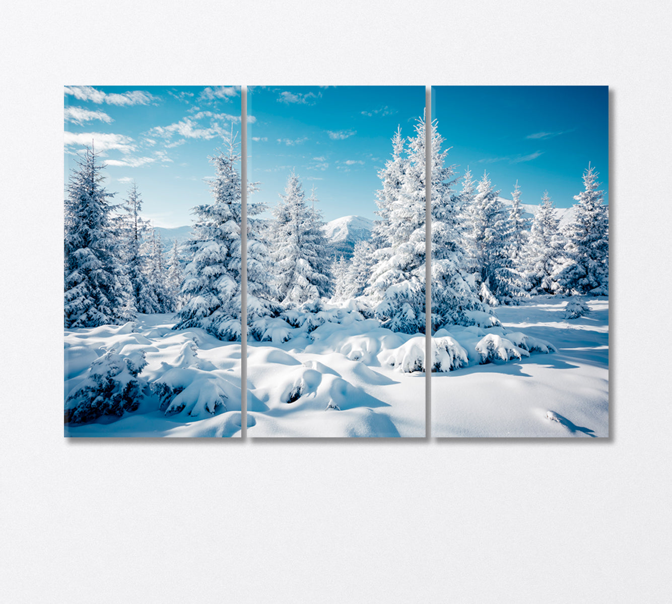 Snowy Spruce Forest in the Mountains Canvas Print-Canvas Print-CetArt-3 Panels-36x24 inches-CetArt