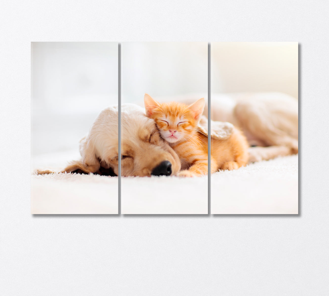 Cat and Puppy Sleeping Together Canvas Print-Canvas Print-CetArt-3 Panels-36x24 inches-CetArt