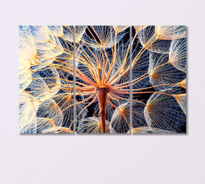 Dandelion Flower Close Up Canvas Print-Canvas Print-CetArt-3 Panels-36x24 inches-CetArt