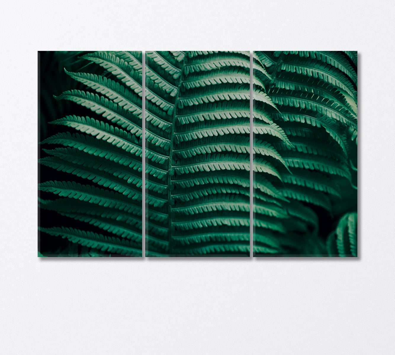 Wild Fern Leaves Canvas Print-Canvas Print-CetArt-3 Panels-36x24 inches-CetArt