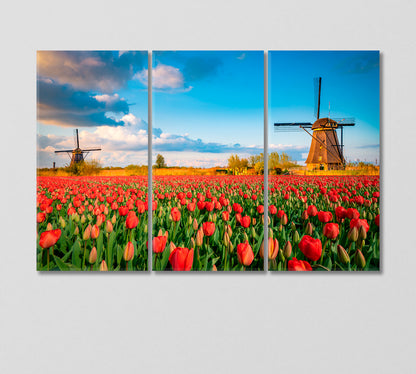 Tulip Field and Two Windmills Holland Canvas Print-Canvas Print-CetArt-3 Panels-36x24 inches-CetArt