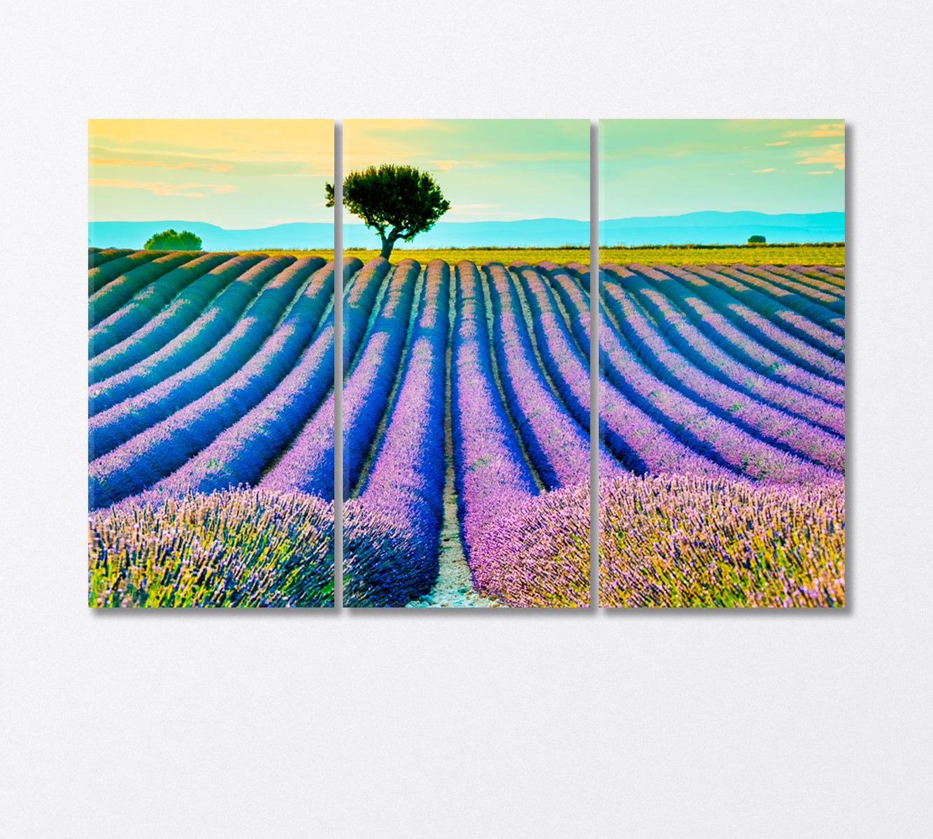 Beautiful Lavender Field at Sunset Provence France Canvas Print-Canvas Print-CetArt-3 Panels-36x24 inches-CetArt