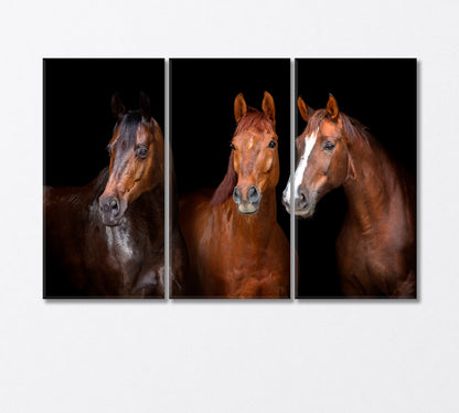 Portrait of Three Graceful Horses Canvas Print-Canvas Print-CetArt-3 Panels-36x24 inches-CetArt