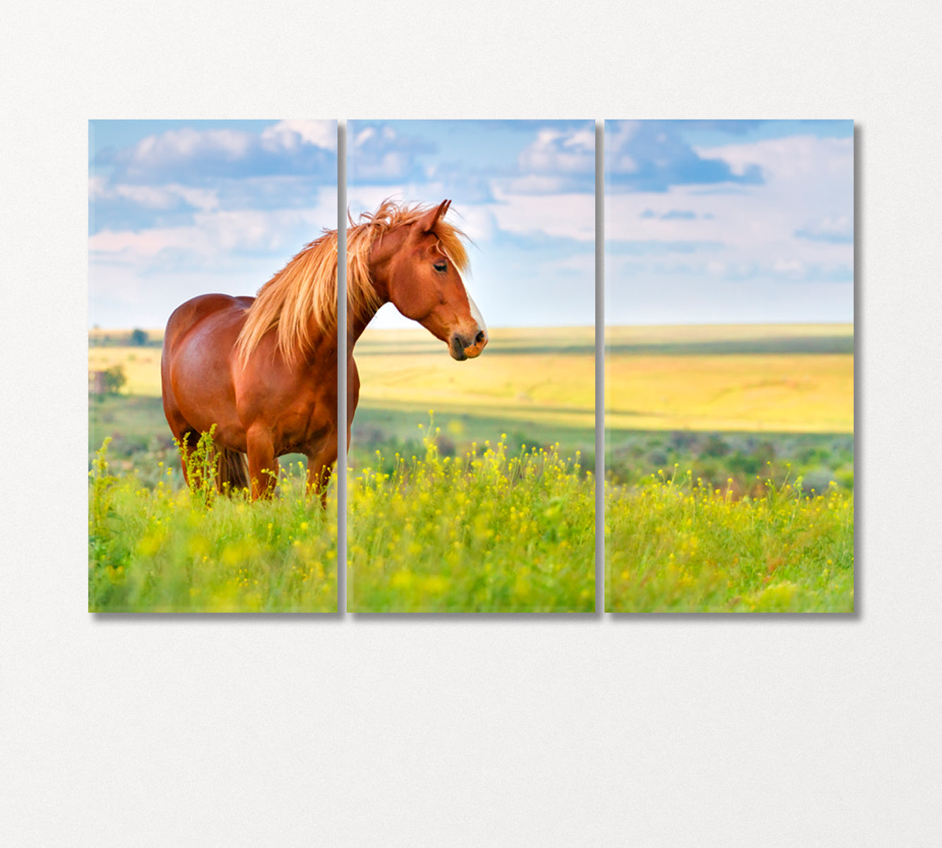 Red Horse in Flower Field Canvas Print-Canvas Print-CetArt-3 Panels-36x24 inches-CetArt
