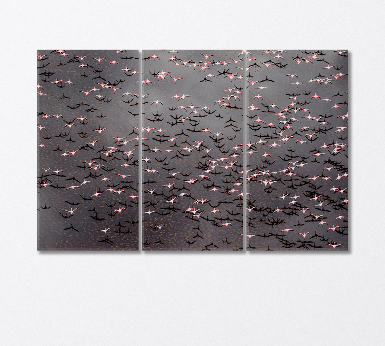 Flock of Flamingos Flying over Lake Natron Africa Canvas Print-Canvas Print-CetArt-3 Panels-36x24 inches-CetArt