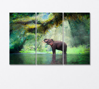 Wild Elephant in the Fairy Forest Thailand Canvas Print-Canvas Print-CetArt-3 Panels-36x24 inches-CetArt