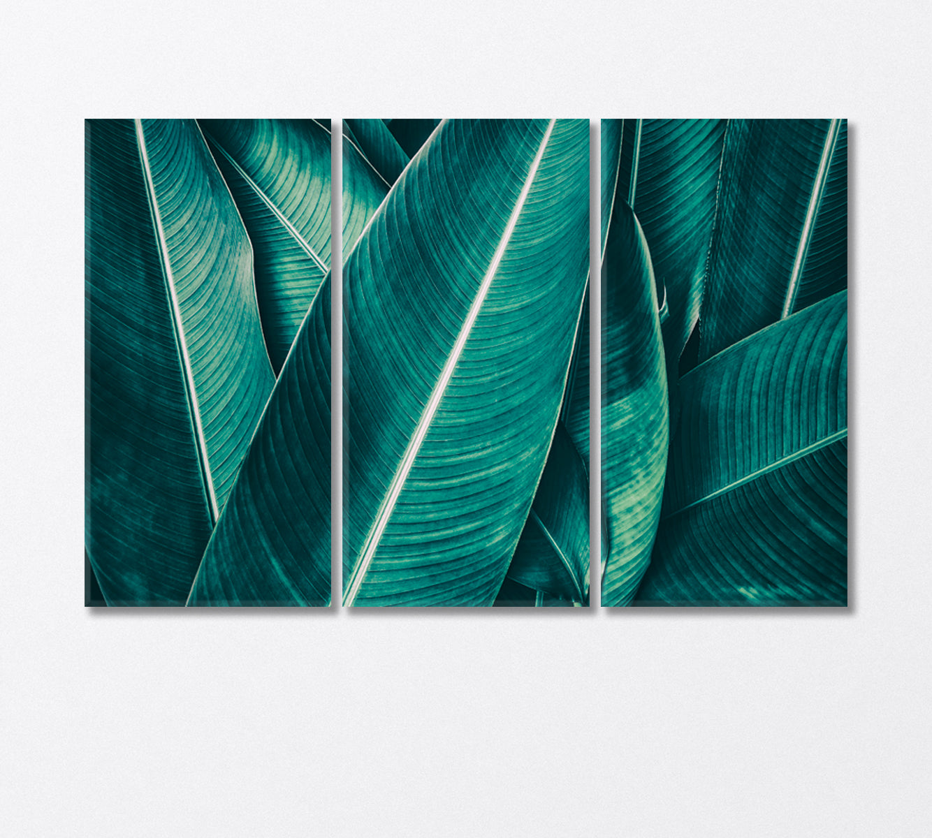 Large Tropical Leaves Canvas Print-Canvas Print-CetArt-3 Panels-36x24 inches-CetArt