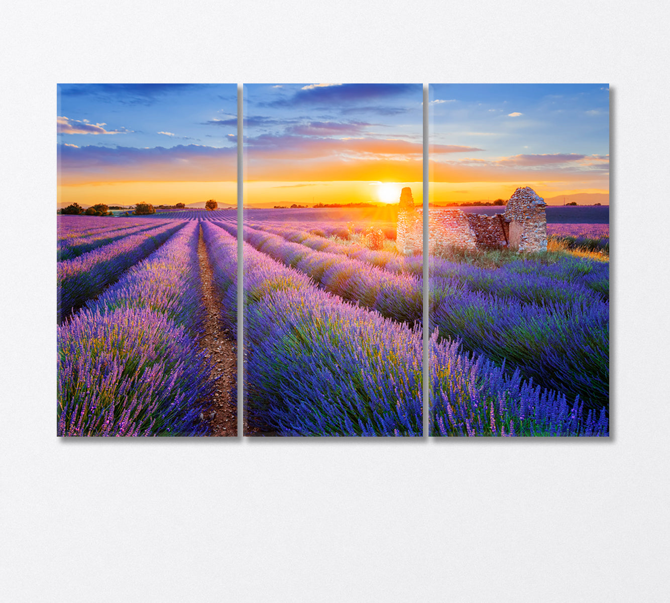 Sunset Over Lavender Field Canvas Print-Canvas Print-CetArt-3 Panels-36x24 inches-CetArt