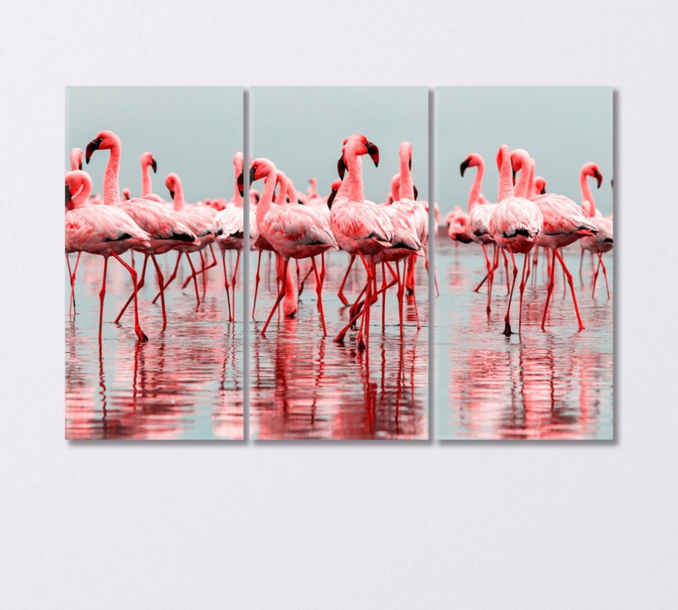 Group of African Red Flamingos Canvas Print-Canvas Print-CetArt-3 Panels-36x24 inches-CetArt