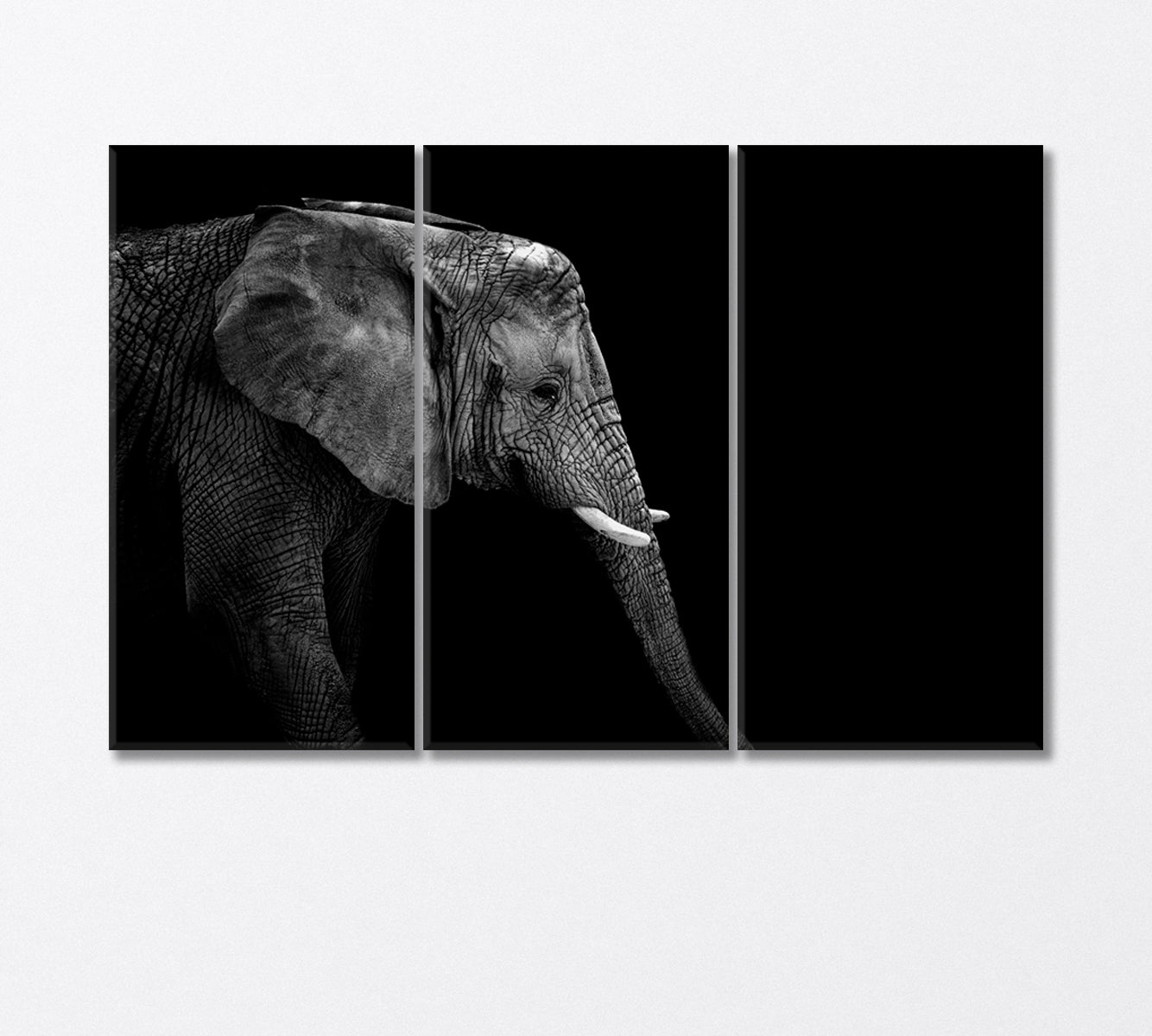 African Elephant Face in Black White Canvas Print-Canvas Print-CetArt-3 Panels-36x24 inches-CetArt