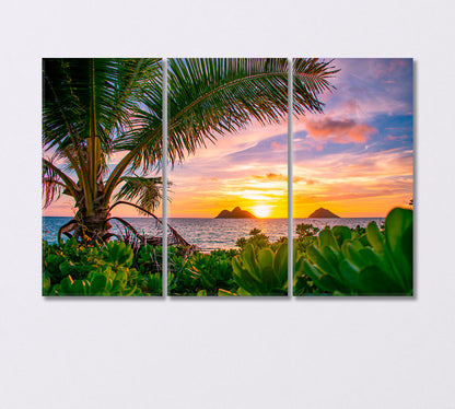 Sunrise over Lanikai Beach Hawaii Canvas Print-Canvas Print-CetArt-3 Panels-36x24 inches-CetArt