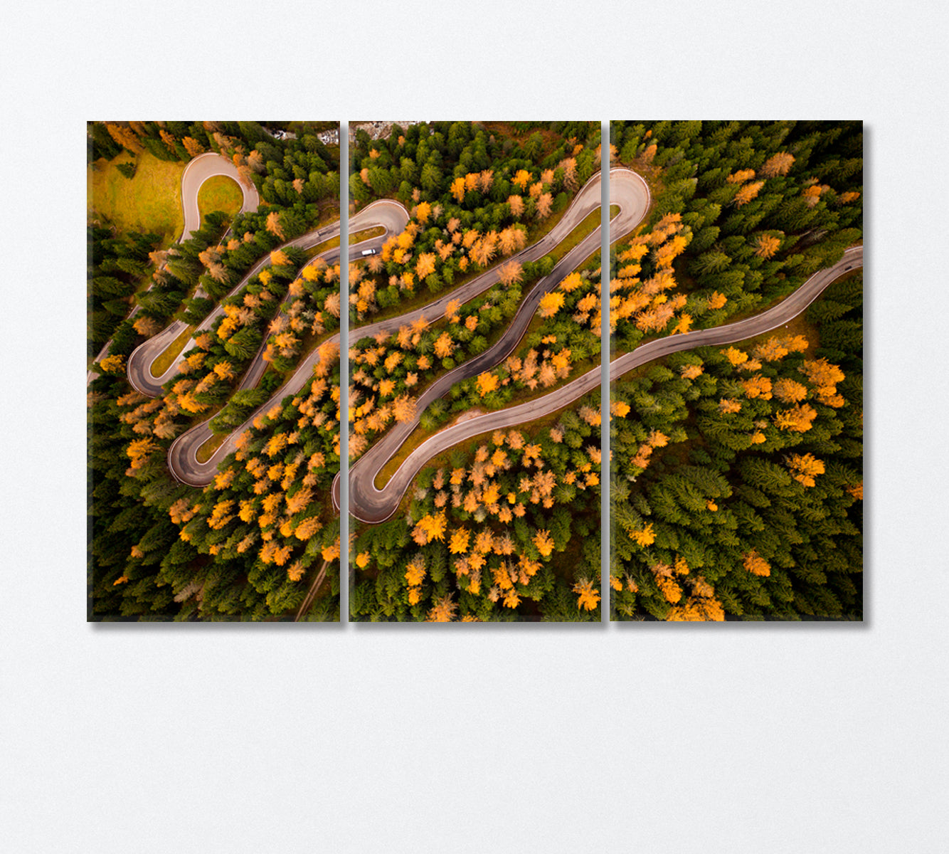 Winding Road in Autumn Forest Top View Canvas Print-Canvas Print-CetArt-3 Panels-36x24 inches-CetArt