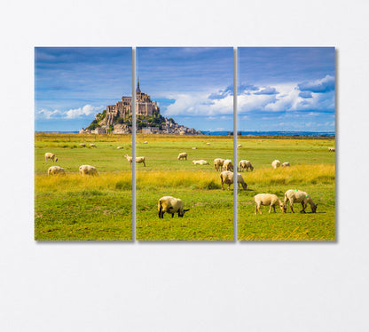 Sheep Grazing in the Fields of Fresh Green Grass Canvas Print-Canvas Print-CetArt-3 Panels-36x24 inches-CetArt