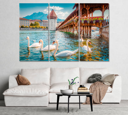 White Swans in River Royce Lucerne Switzerland Canvas Print-Canvas Print-CetArt-1 Panel-24x16 inches-CetArt