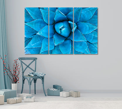 Blue Agave Plant Canvas Print-Canvas Print-CetArt-1 Panel-24x16 inches-CetArt
