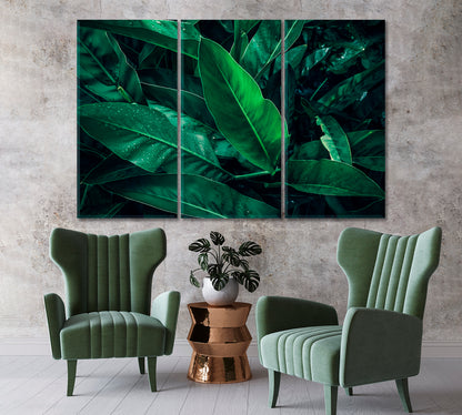 Large Tropical Leaf with Water Drops Canvas Print-Canvas Print-CetArt-1 Panel-24x16 inches-CetArt