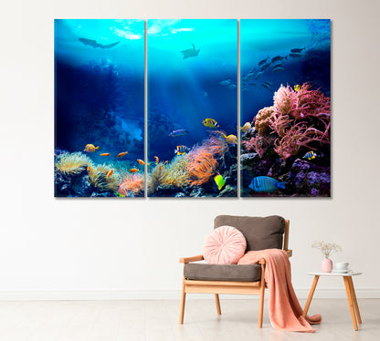 Underwater World Coral Reefs Canvas Print-Canvas Print-CetArt-1 Panel-24x16 inches-CetArt
