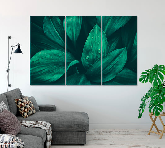 Water Droplets on Green Foliage in Tropical Rainforest Canvas Print-Canvas Print-CetArt-1 Panel-24x16 inches-CetArt