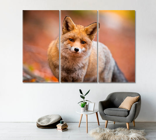 Red Furry Fox Canvas Print-Canvas Print-CetArt-1 Panel-24x16 inches-CetArt