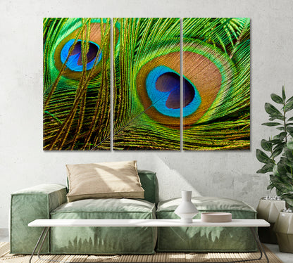 Bright Peacock Feathers Canvas Print-Canvas Print-CetArt-1 Panel-24x16 inches-CetArt