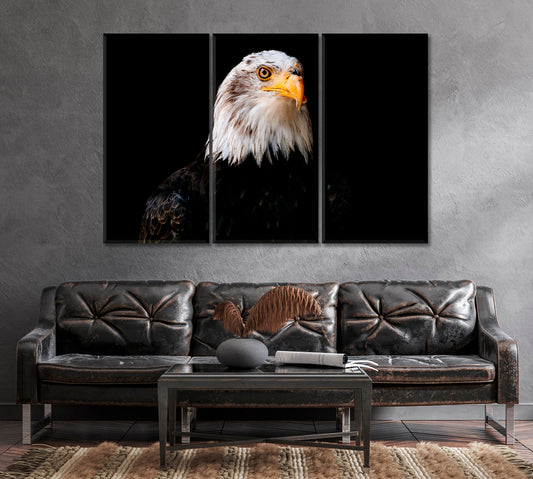 Powerful Bird Bald Eagle Canvas Print-Canvas Print-CetArt-1 Panel-24x16 inches-CetArt