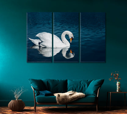 Beautiful Swan in Crystal Blue Lake Canvas Print-Canvas Print-CetArt-1 Panel-24x16 inches-CetArt