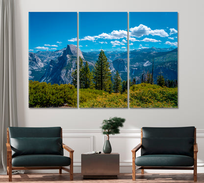Yosemite National Park United States Canvas Print-Canvas Print-CetArt-1 Panel-24x16 inches-CetArt