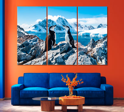 Pair of Chinstrap Penguins Canvas Print-Canvas Print-CetArt-1 Panel-24x16 inches-CetArt