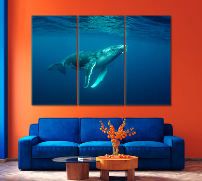 Humpback Whale Cub in the Pacific Ocean Canvas Print-Canvas Print-CetArt-1 Panel-24x16 inches-CetArt