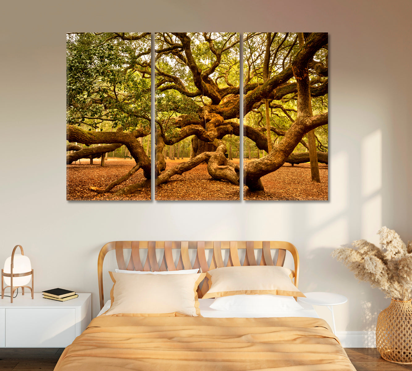 Angel Oak Tree Johns Island South Carolina USA Canvas Print-Canvas Print-CetArt-1 Panel-24x16 inches-CetArt