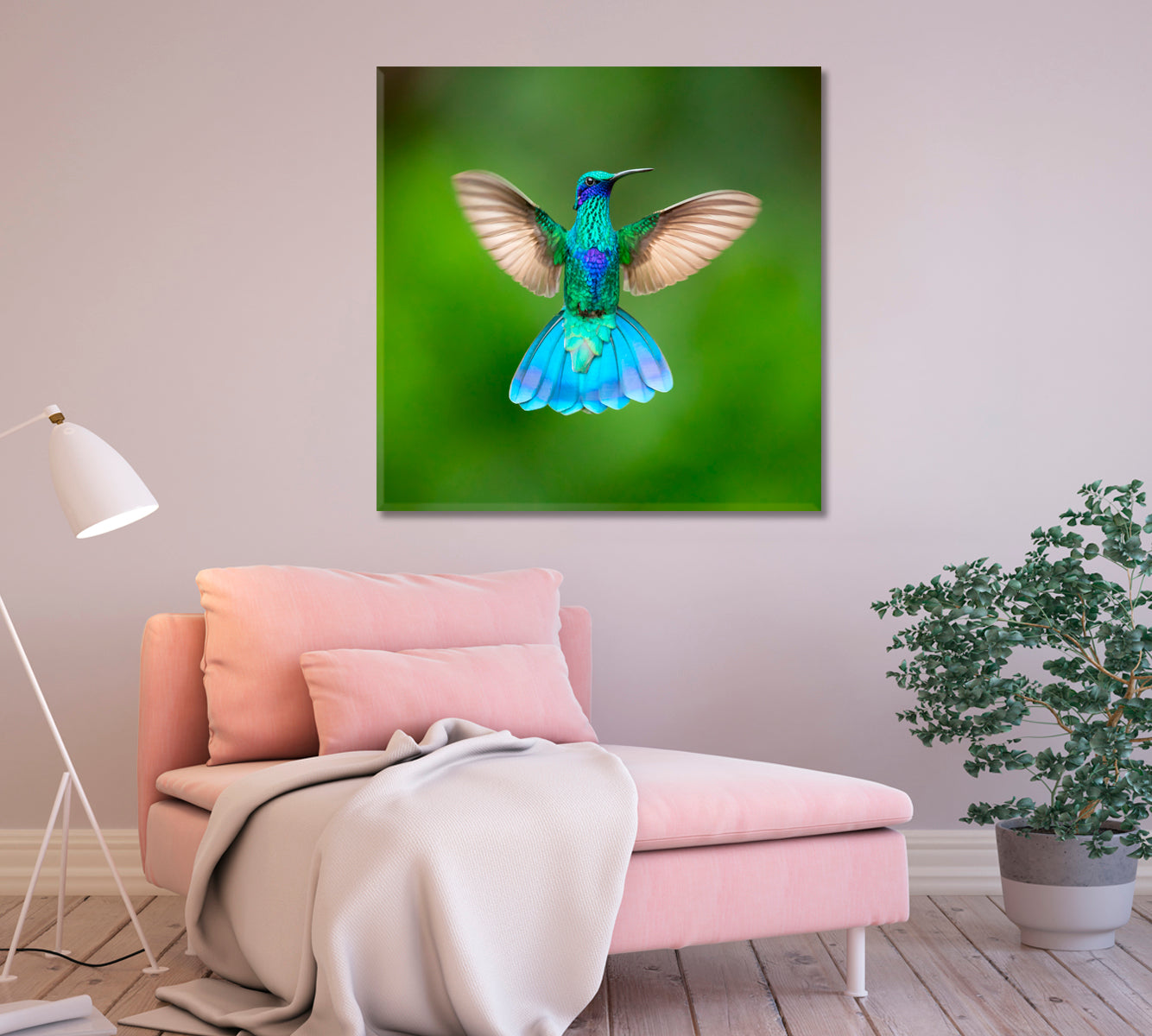 Sparkling Violetear Colibri Coruscans Canvas Print-Canvas Print-CetArt-1 panel-12x12 inches-CetArt