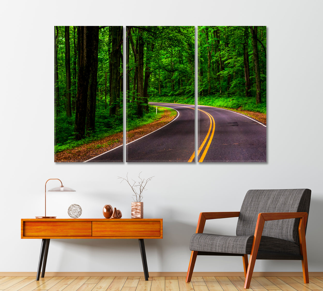 Skyline Drive in Shenandoah National Park Virginia Canvas Print-Canvas Print-CetArt-1 Panel-24x16 inches-CetArt